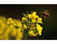 开云体育官网-包含瑞士击剑选手偷得浮生半日闲，奏响胜利交响曲的词条