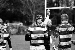 开云体育在线登录-多特横扫贝尔根，四球大胜，赢得胜利在望，多特vs比勒菲尔德